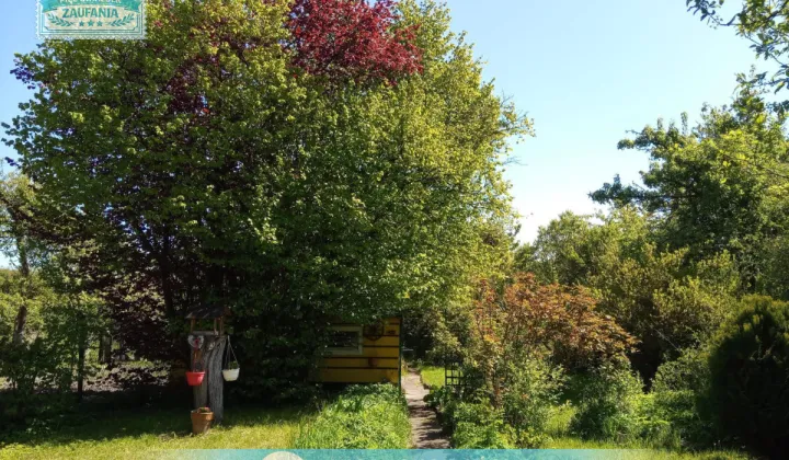 Działka rod Gdańsk Nowy Port, ul. Wyzwolenia