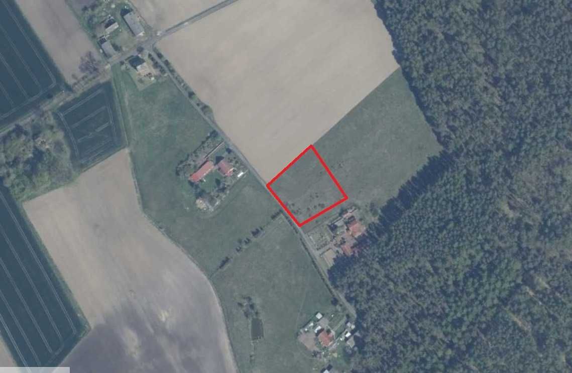 Działka rolna Drzewica. Zdjęcie 2