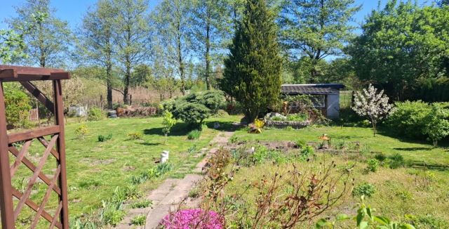 Działka rekreacyjna Czerwieńsk. Zdjęcie 1