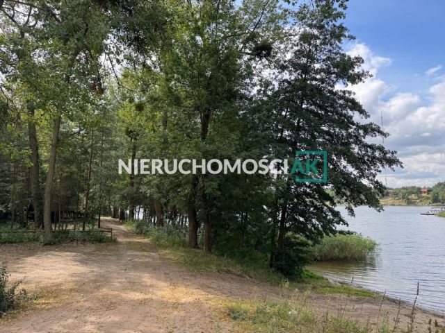 Działka leśna Głębockie Pierwsze. Zdjęcie 2