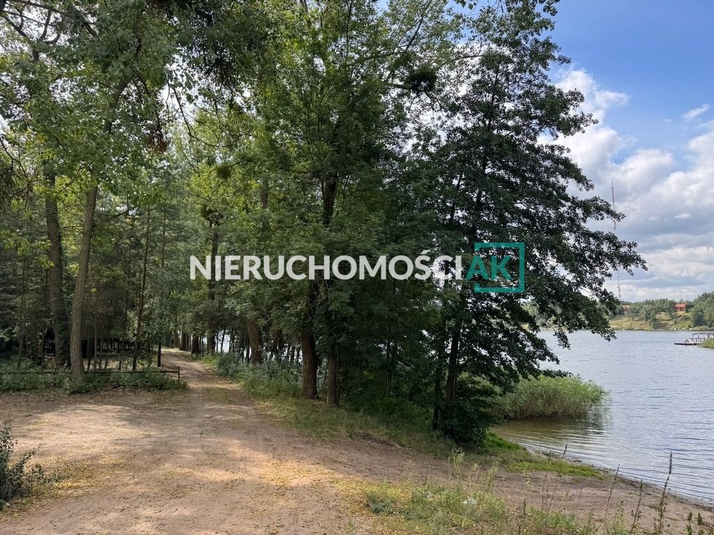 Działka leśna Głębockie Pierwsze. Zdjęcie 2