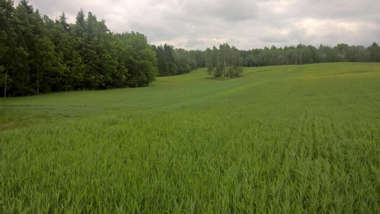 Działka rekreacyjna Stare Juchy, ul. Mazurska. Zdjęcie 5