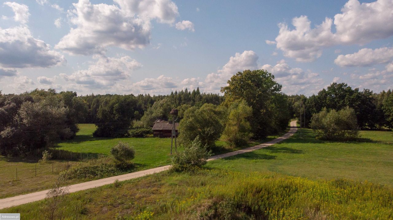 Działka rolno-budowlana Nowa Wieś. Zdjęcie 3
