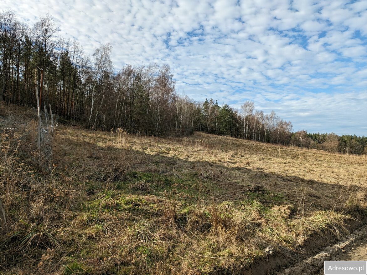 Działka budowlana Okmiany. Zdjęcie 4