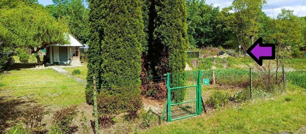 Działka rod Toruń, ul. Stanisława Przybyszewskiego. Zdjęcie 4