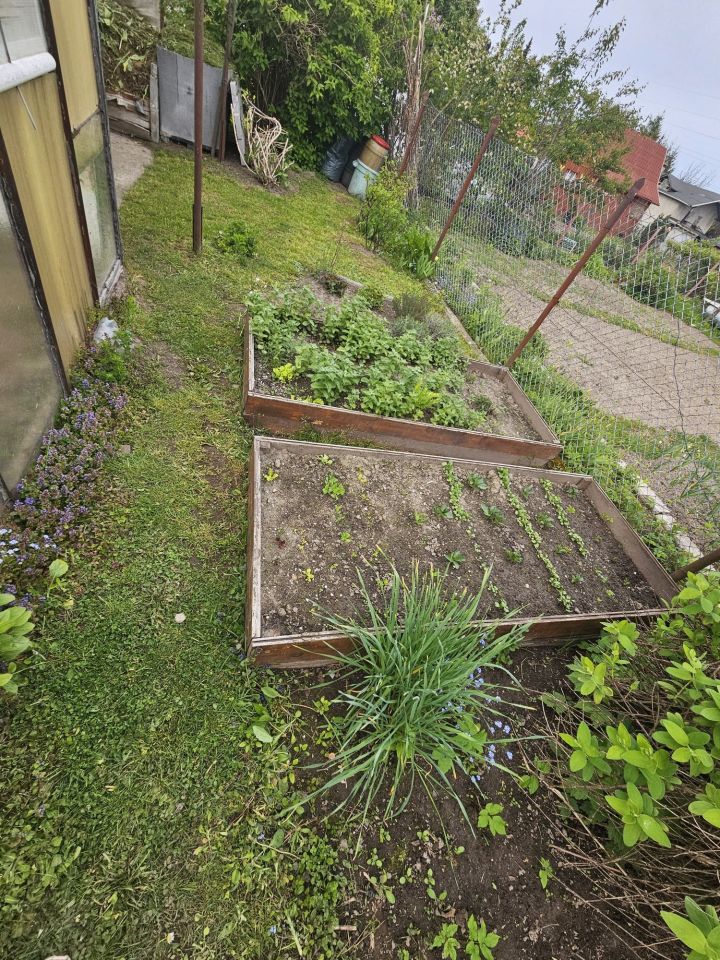 Działka rod Olsztyn Pieczewo. Zdjęcie 5