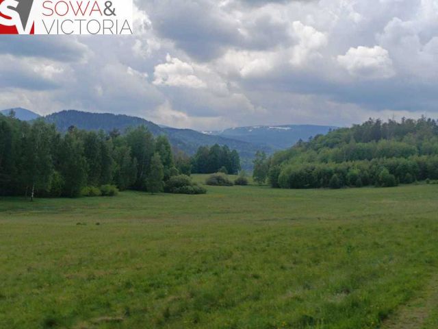 Działka rolna Głębock. Zdjęcie 7