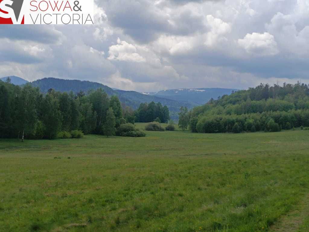Działka rolna Głębock. Zdjęcie 7