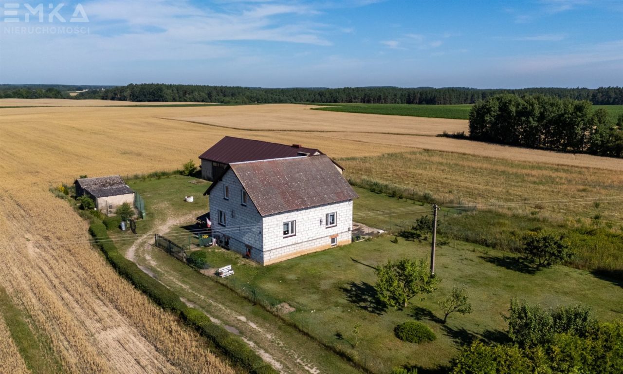 dom wolnostojący, 5 pokoi Sierosław. Zdjęcie 18