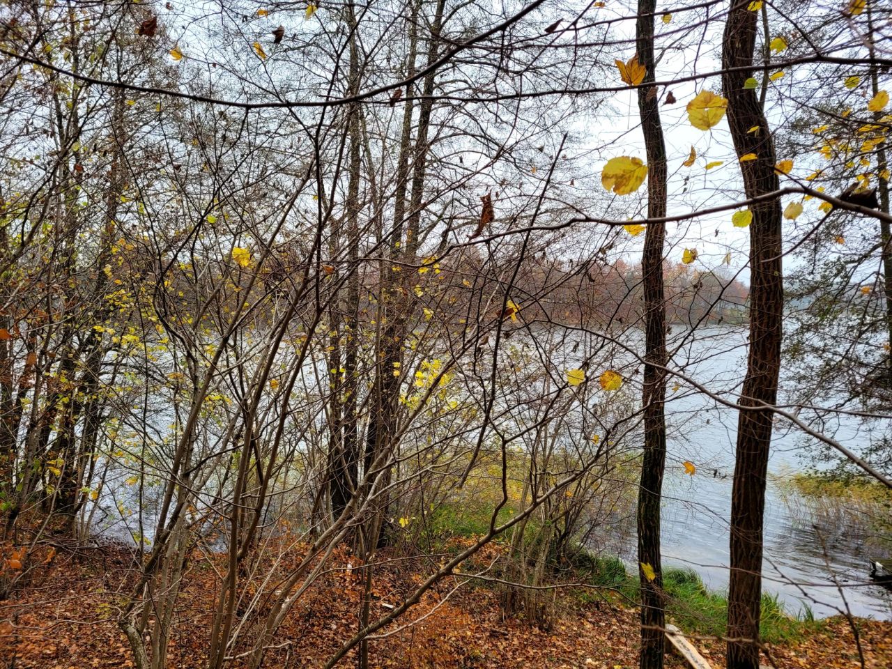Działka rekreacyjna Jasień. Zdjęcie 4