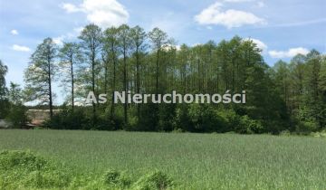 Działka budowlana Tołcze