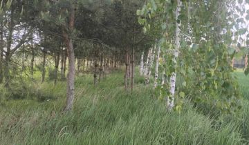 dom wolnostojący Kowal