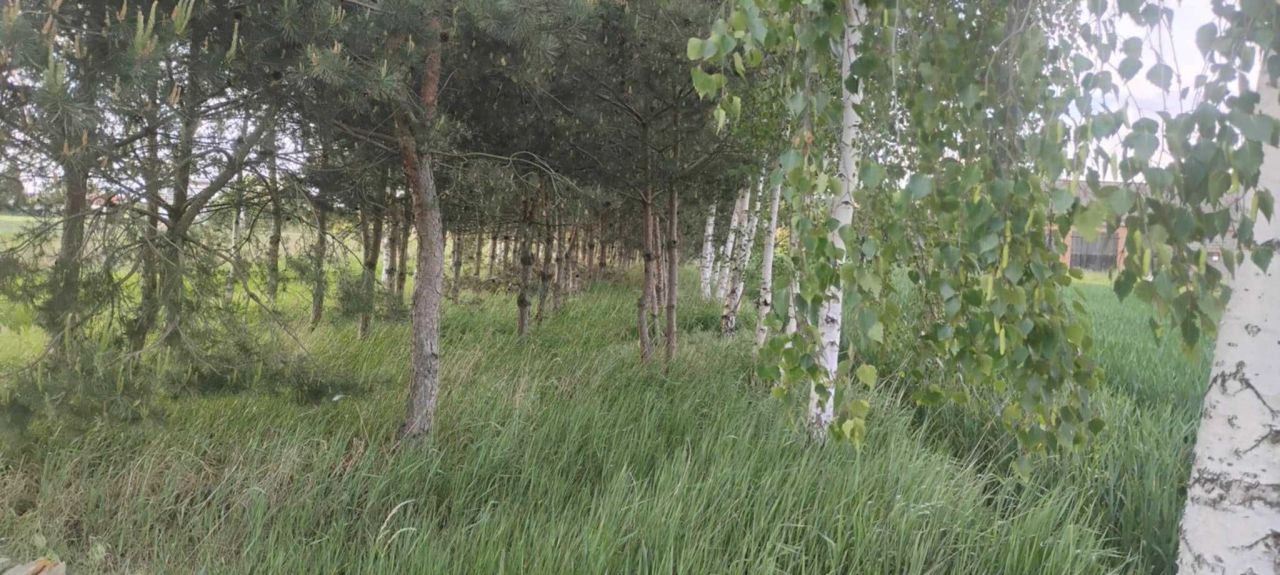 dom wolnostojący Kowal. Zdjęcie 2