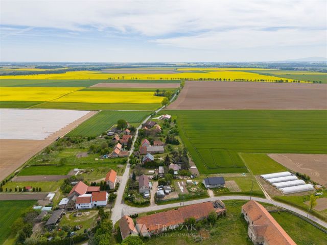 Działka siedliskowa Sobolew. Zdjęcie 8