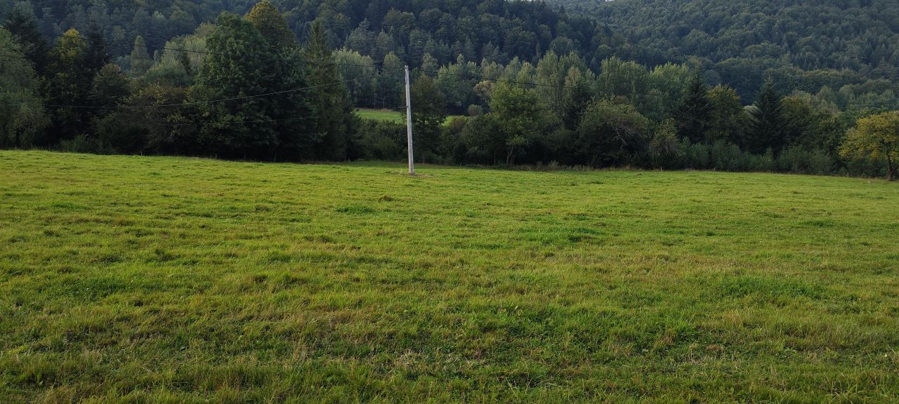 Działka budowlana Uście Gorlickie Kijów. Zdjęcie 6