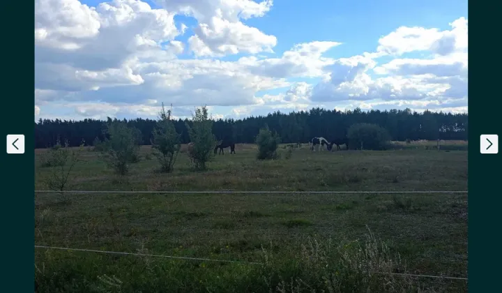 Działka budowlana Kalina