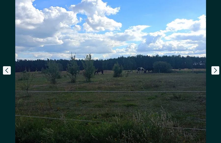 Działka budowlana Kalina