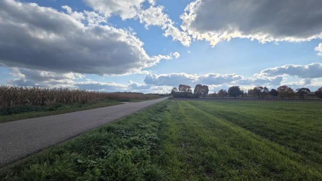 Działka rolna Nowe Miasto-Folwark. Zdjęcie 2