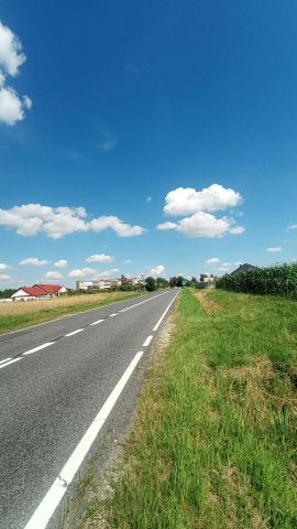 Działka budowlana Wińsko, ul. Wincentego Witosa. Zdjęcie 4