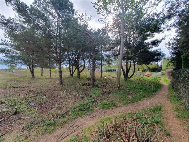 Działka budowlana Gdynia Chwarzno-Wiczlino, ul. Czapli. Zdjęcie 8