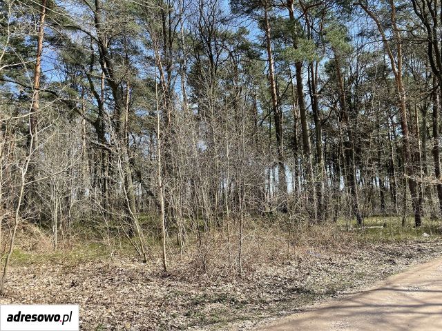 Działka budowlana Władysławów, ul. Przedwiośnia. Zdjęcie 1