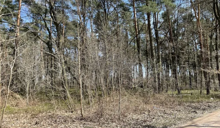 Działka budowlana Władysławów, ul. Przedwiośnia