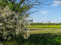 Działka budowlana Parczew, ul. Włodawska. Zdjęcie 4