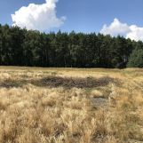 Działka budowlana Kijowice. Zdjęcie 2