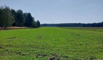 Działka rolno-budowlana Gąba