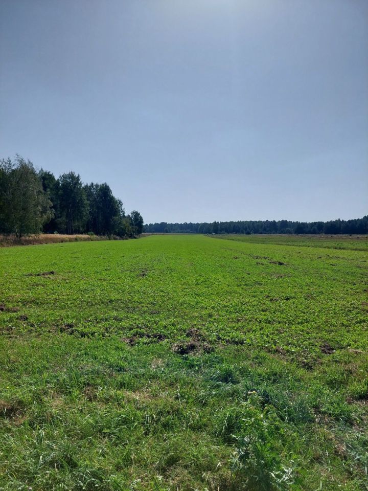 Działka rolno-budowlana Gąba. Zdjęcie 2