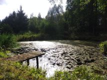 dom wolnostojący, 5 pokoi Barycz Stara. Zdjęcie 1