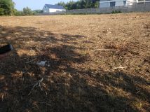 Działka rolno-budowlana Bodzanów. Zdjęcie 2