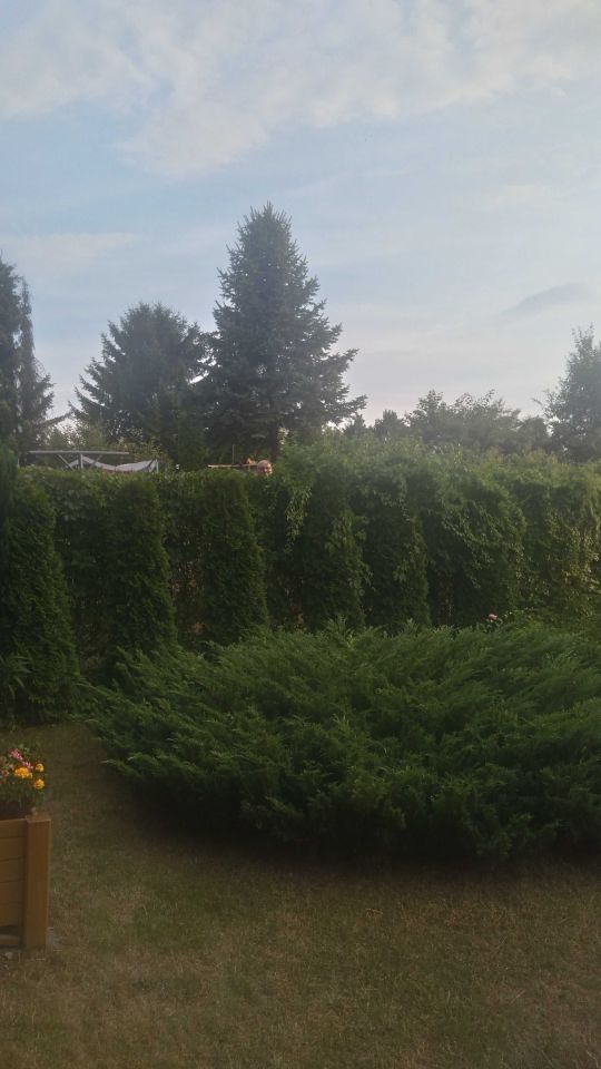 Działka rod Świętochłowice, ul. Pokoju. Zdjęcie 4