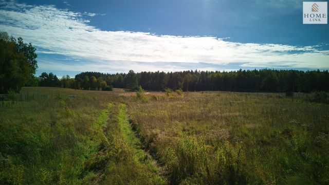 Działka rekreacyjna Tomaszyn. Zdjęcie 17