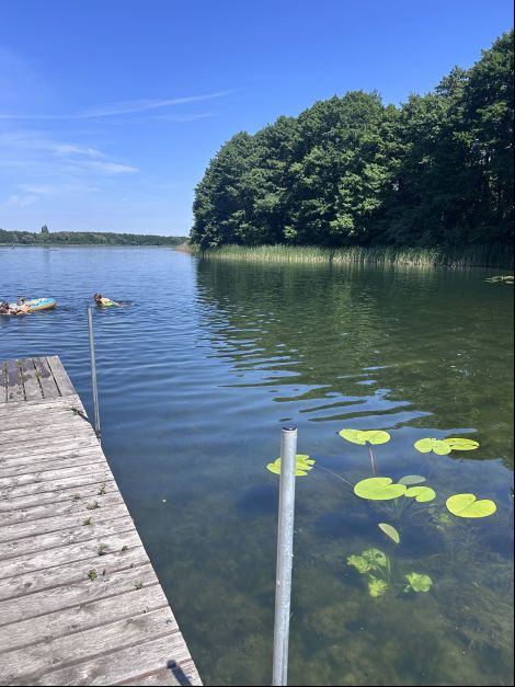 Działka rekreacyjna Kosewo, ul. Łąkowa. Zdjęcie 9