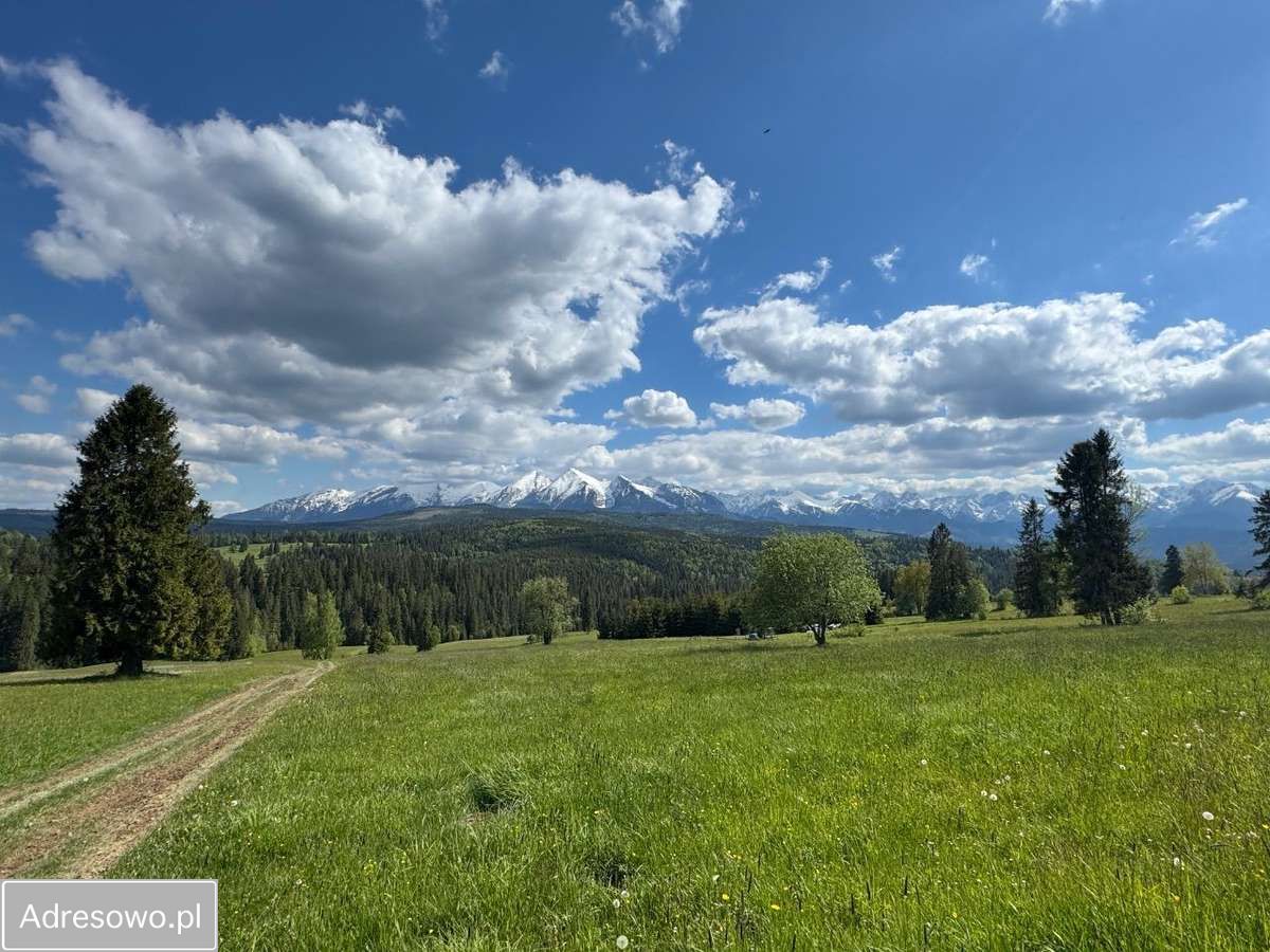 Działka siedliskowa Rzepiska, ul. Potok Grocholów