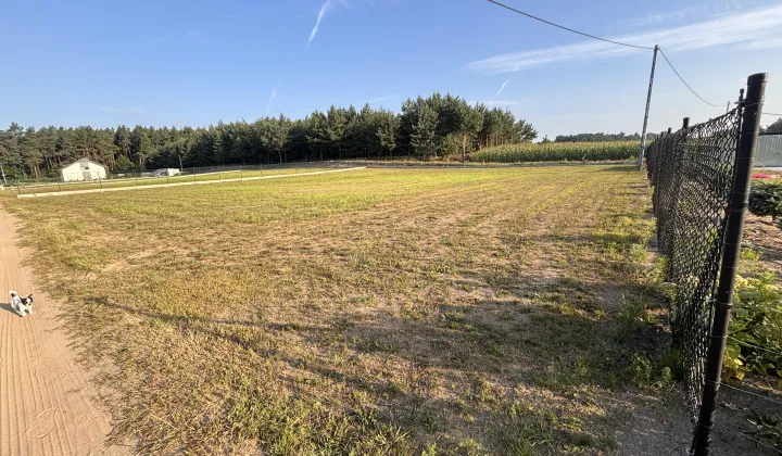 Działka rolno-budowlana Wałyczyk