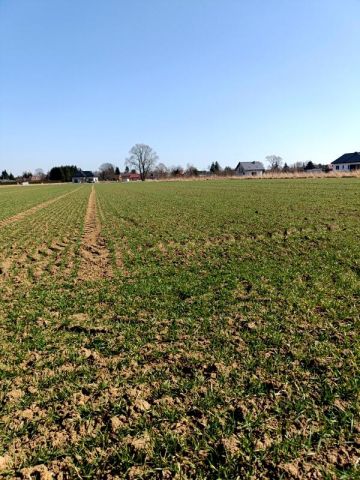 Działka budowlana Świerzowa Polska. Zdjęcie 8