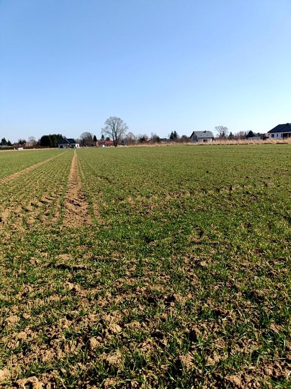 Działka budowlana Świerzowa Polska. Zdjęcie 8