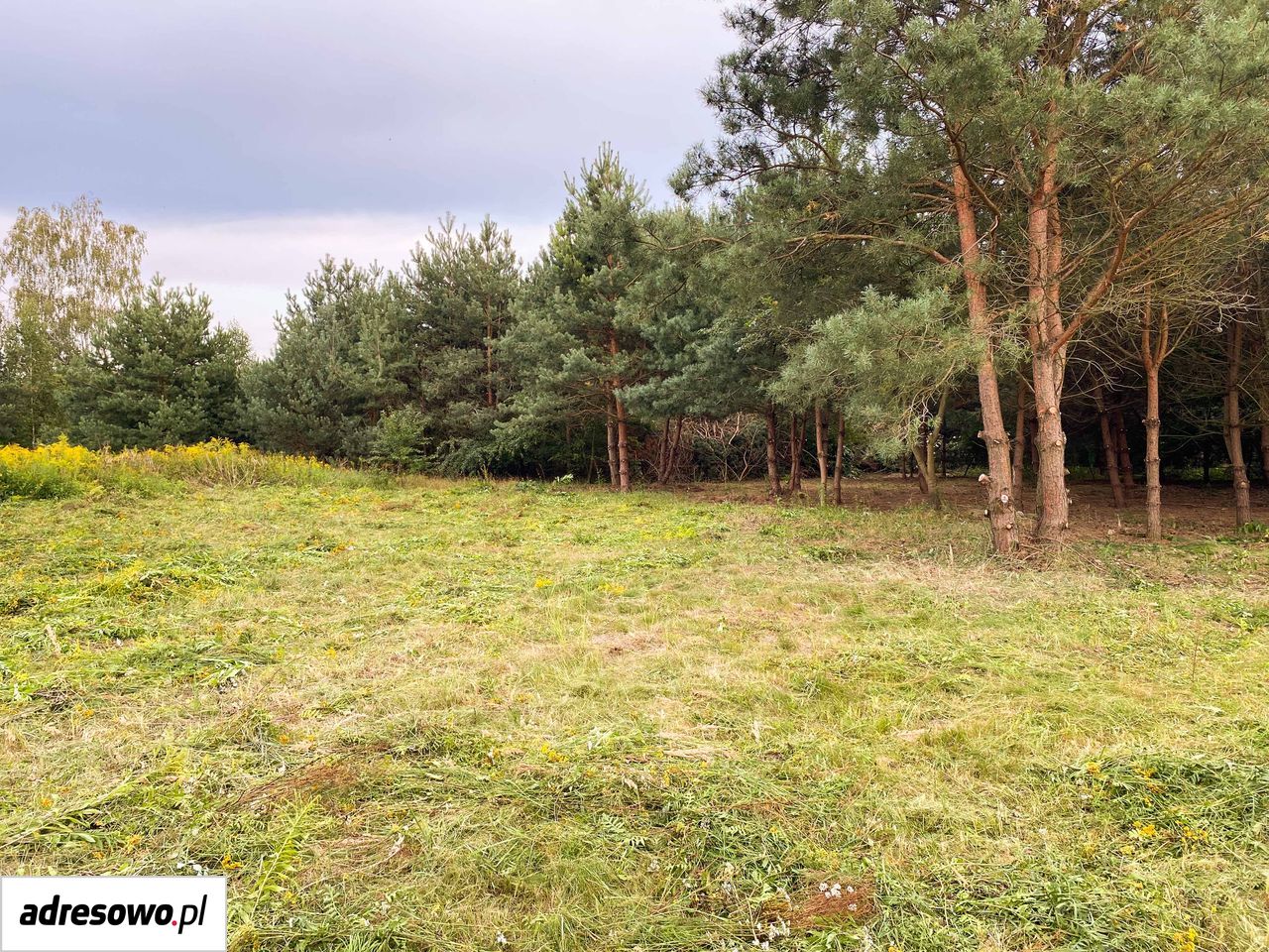 Działka budowlana Prace Duże, ul. Żytnia. Zdjęcie 6