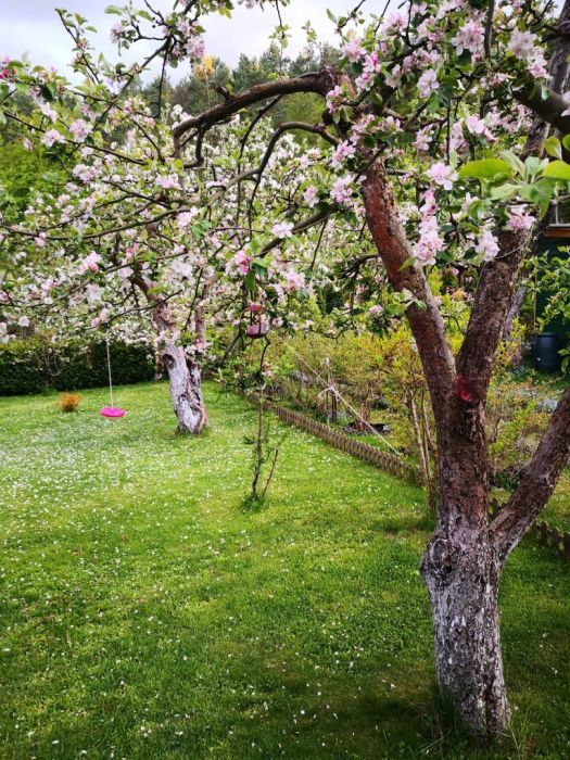 Działka rod Sopot Sopot Górny, ul. Mikołaja Reja. Zdjęcie 7