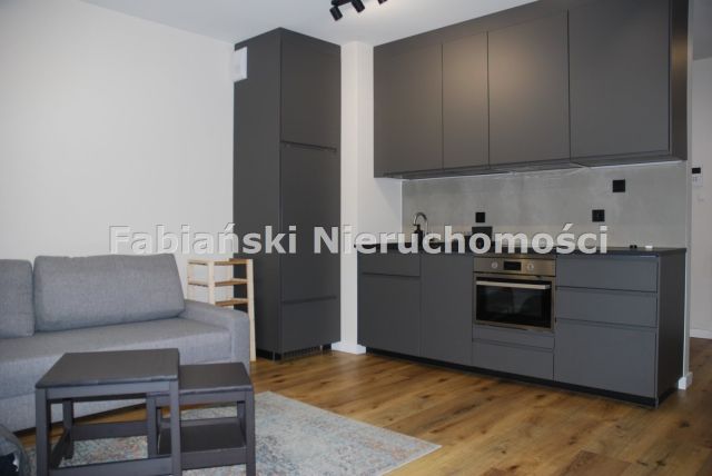 Mieszkanie 1-pokojowe Dopiewiec. Zdjęcie 3