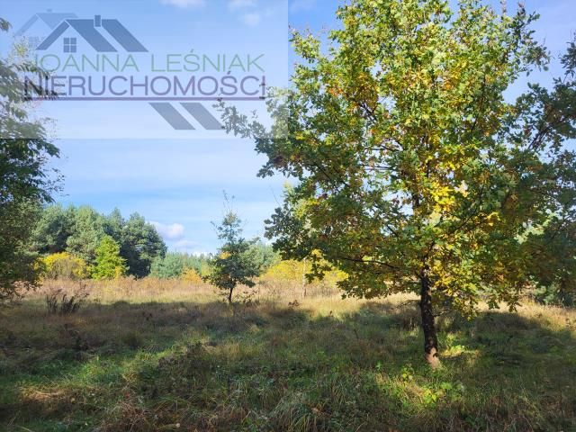 Działka budowlana Chechło. Zdjęcie 3