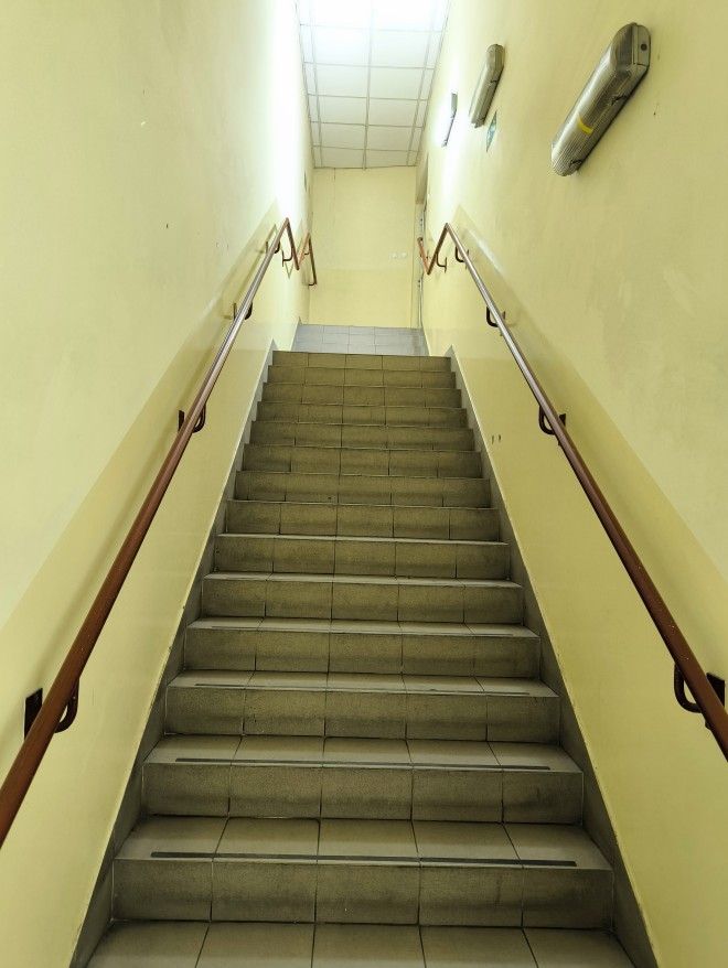 Zdjęcie 8
