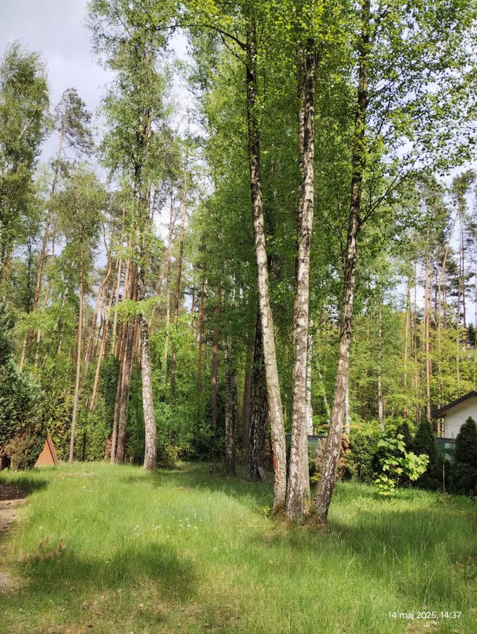 Działka budowlana Zofiówka, ul. Cienista. Zdjęcie 32