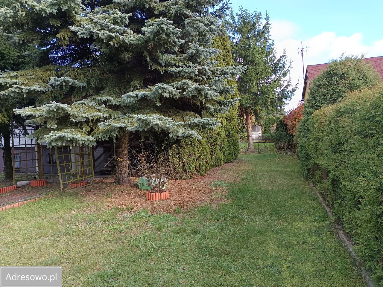 Działka rod Drzewce, ul. Ogrodowa. Zdjęcie 8