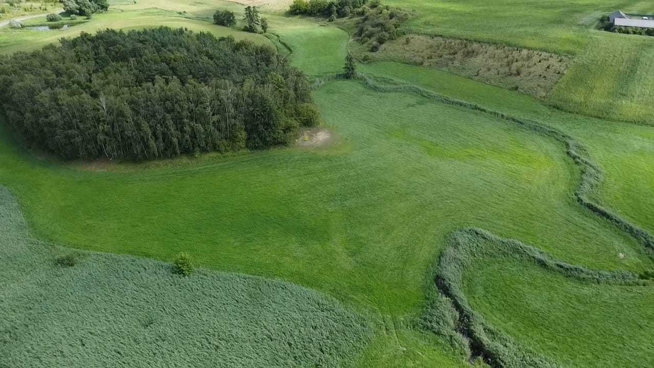 Działka rolna Stara Biała. Zdjęcie 3