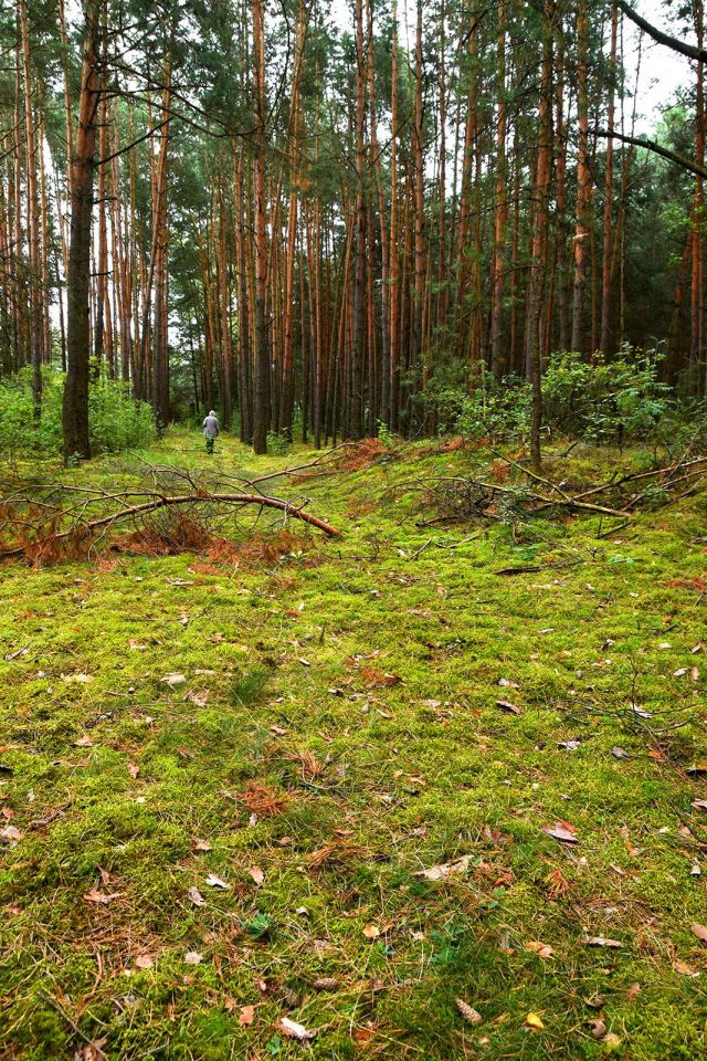 Działka budowlana Turna Duża. Zdjęcie 20
