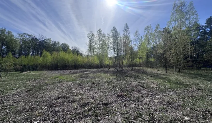 Działka rekreacyjna Dobków, ul. Brzozowa