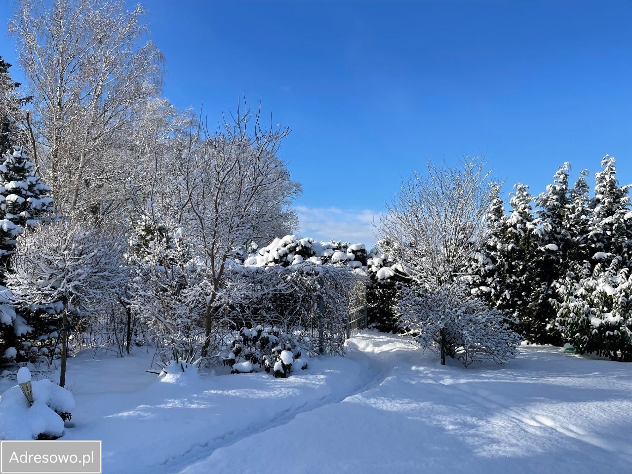 dom wolnostojący, 5 pokoi Świeszewo. Zdjęcie 7